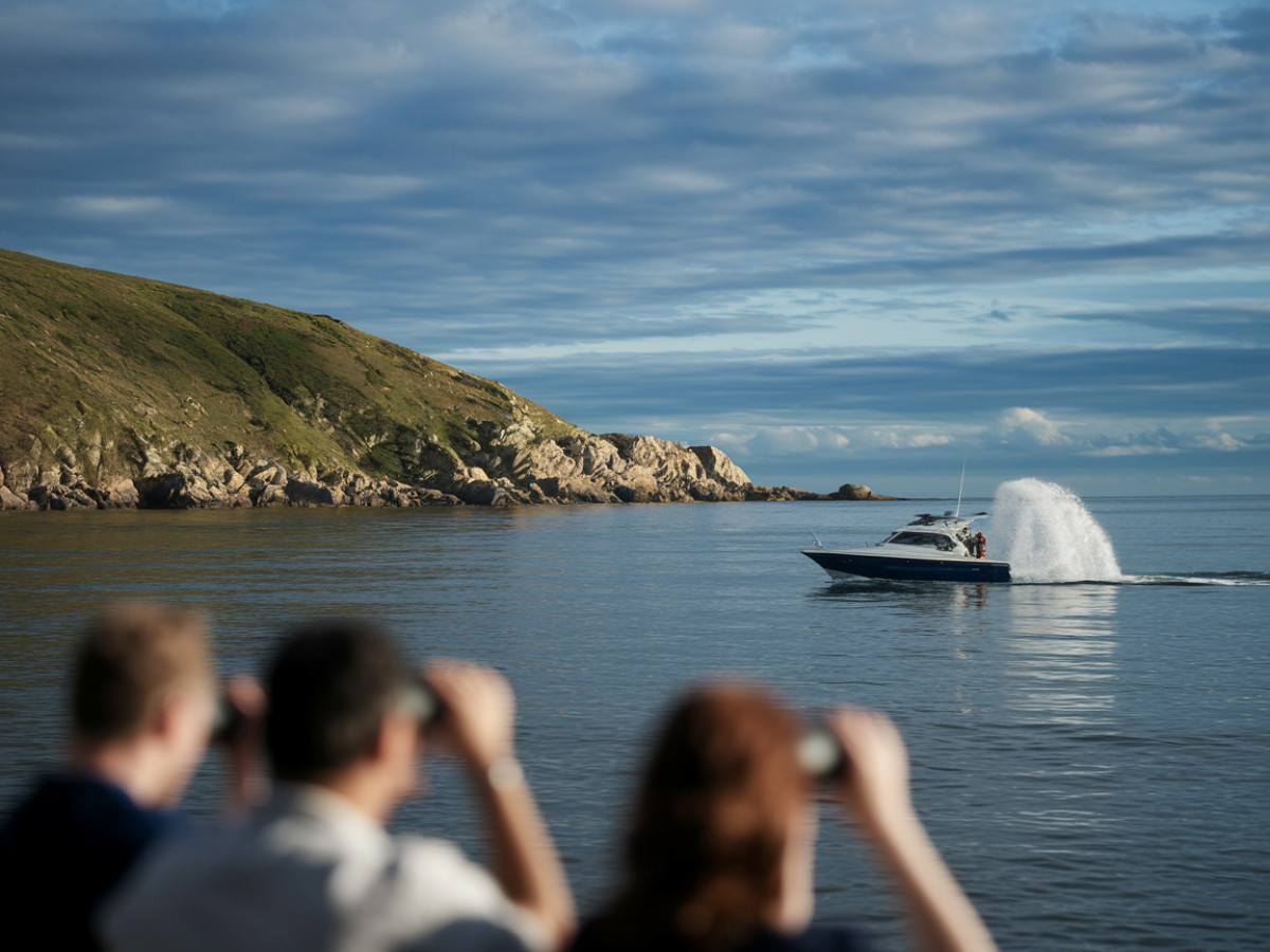 L'observation des baleines